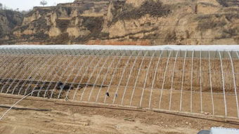 河南日光溫室建造工程與邯鄲日光溫室建造廠家 高效設施農(nóng)業(yè)的施工實踐